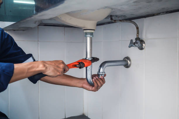 Best Best Plumbers Near Me  in Dexter, MI